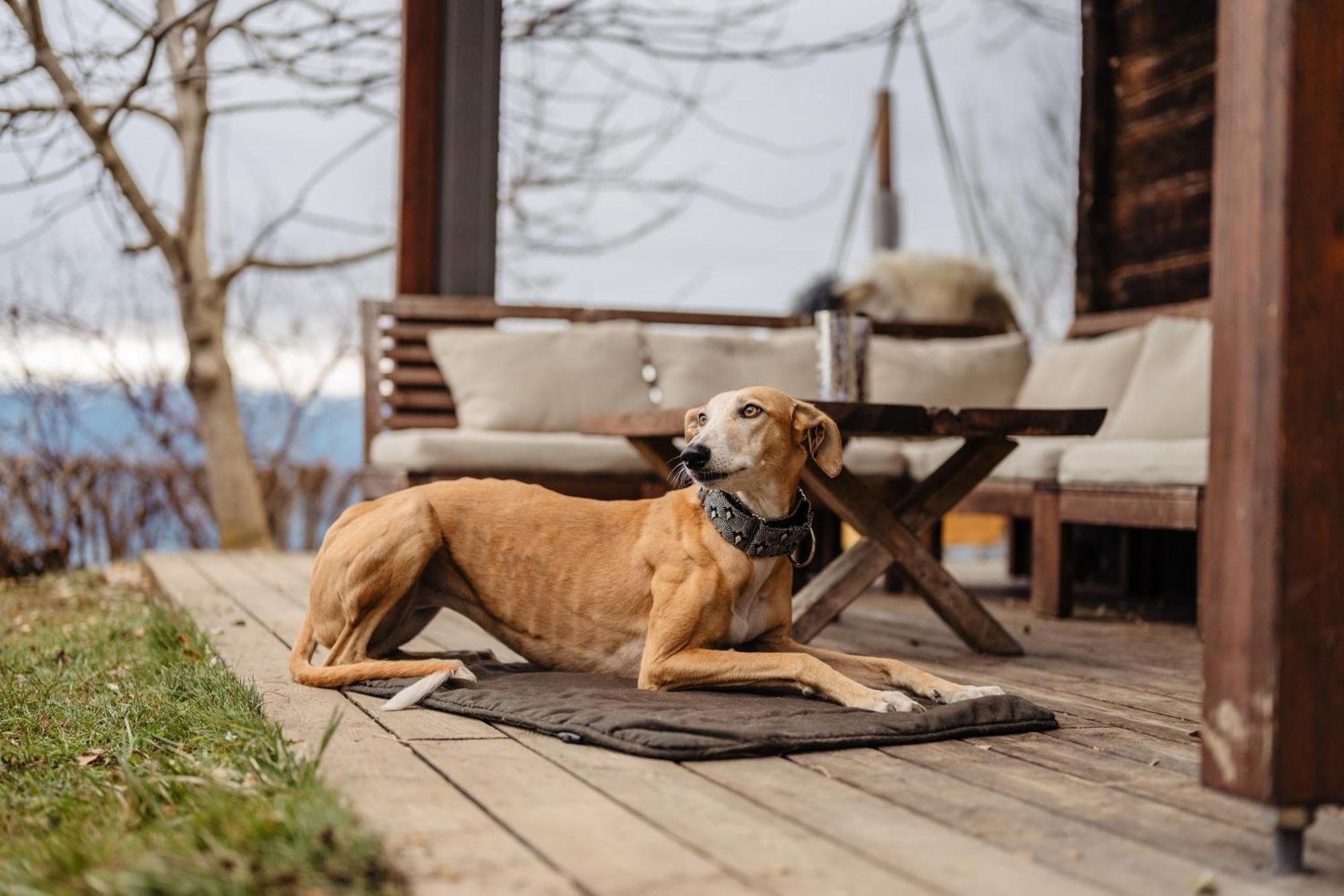 Boutique Chalet - Herke Eitweg 외부 사진